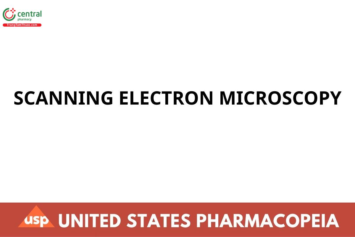 SCANNING ELECTRON MICROSCOPY