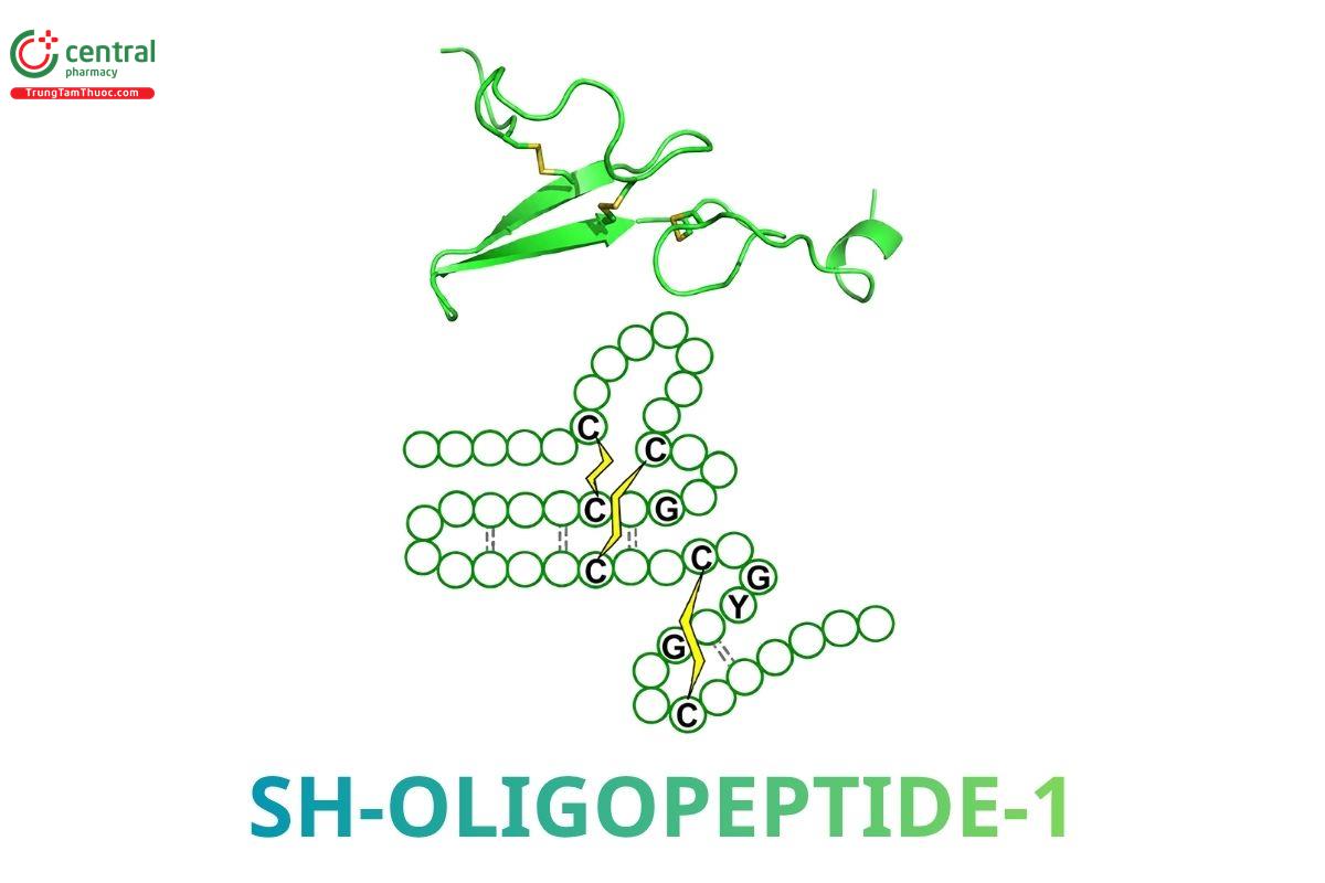 Sh-Oligopeptide-1 (EGF)