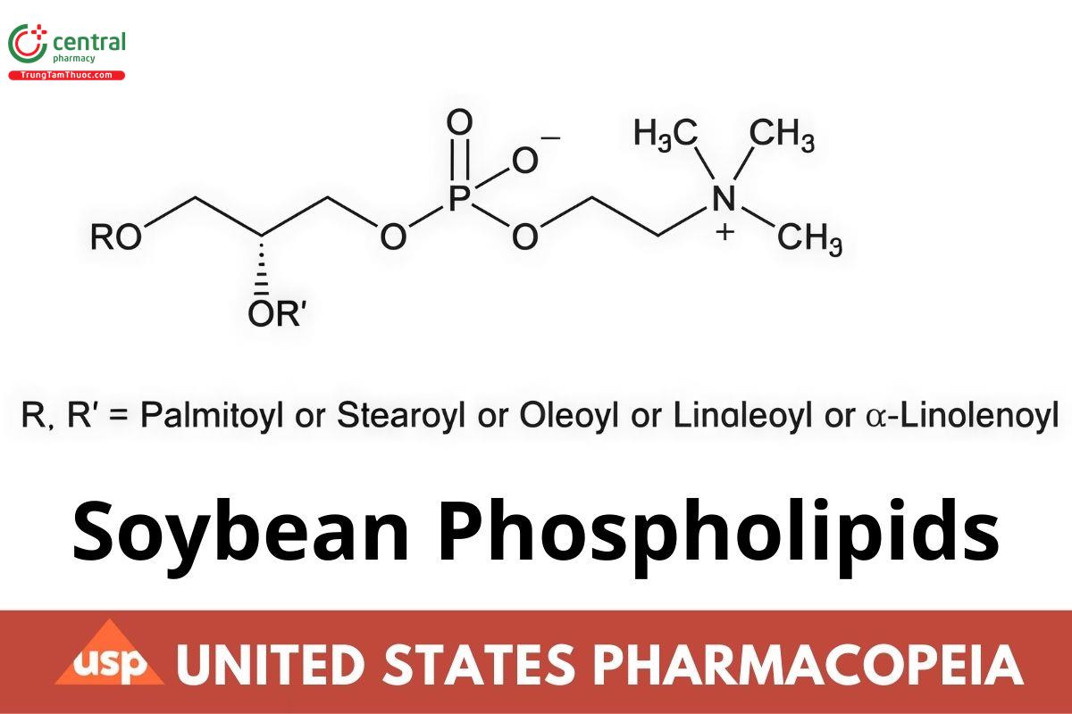 Soybean Phospholipids