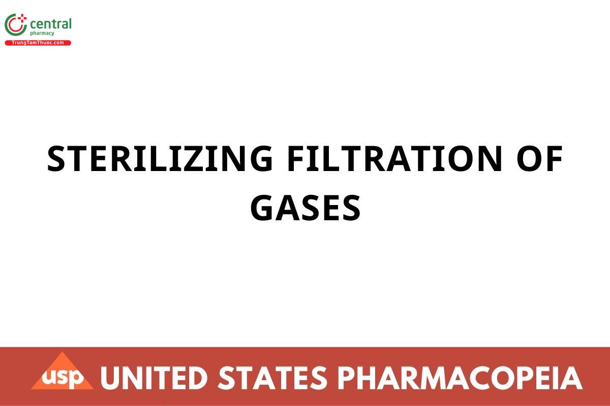 STERILIZING FILTRATION OF GASES