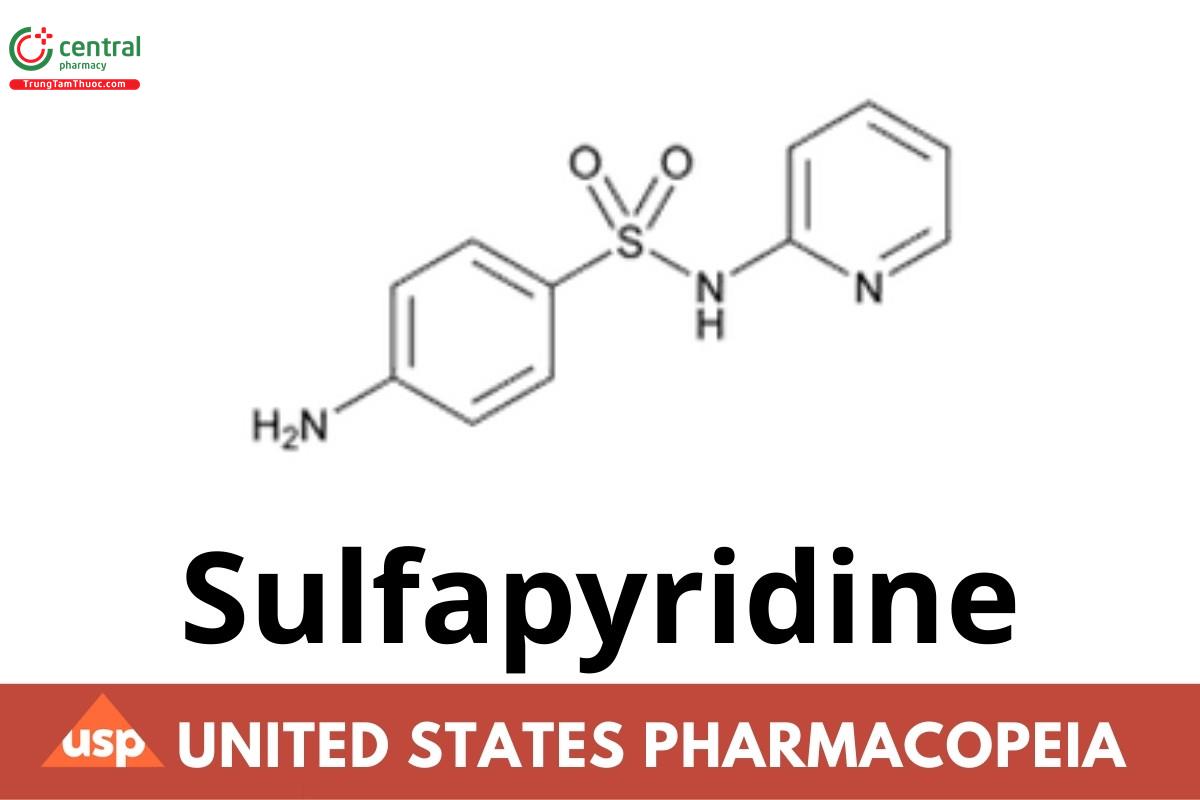 Sulfapyridine