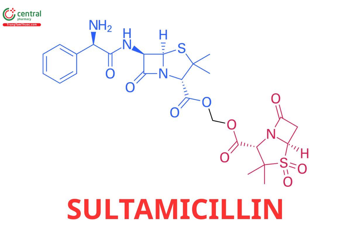 Sultamicillin