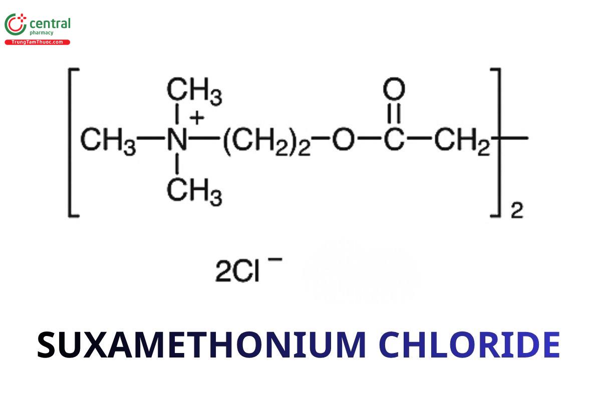Suxamethonium chloride (Succinylcholin clorid)