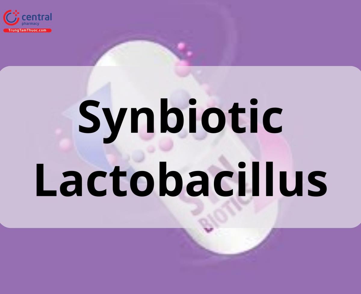 Synbiotic Lactobacillus