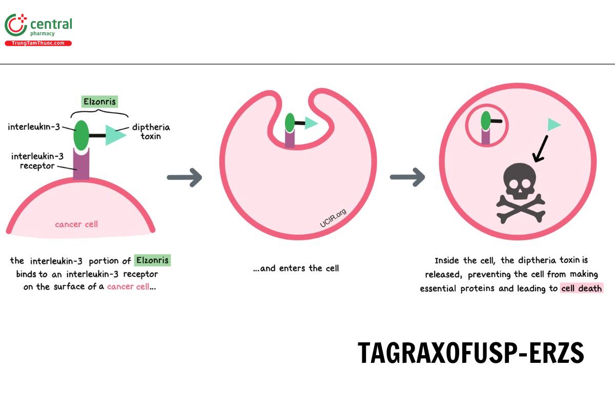 Tagraxofusp-erzs