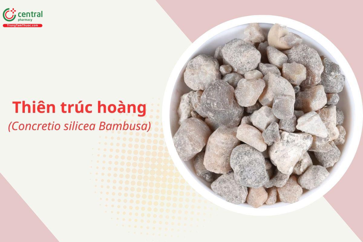 Thiên trúc hoàng (Concretio silicea Bambusa)