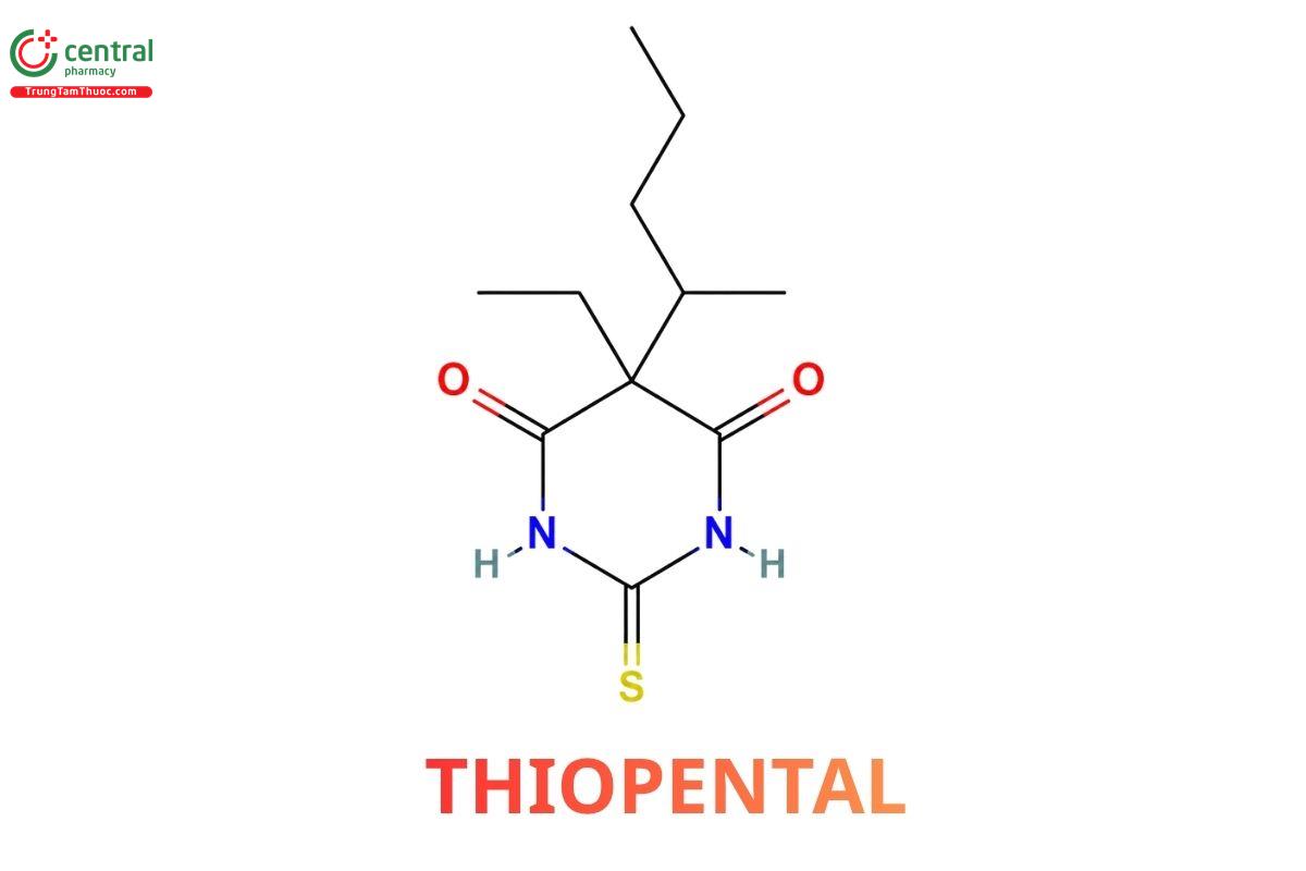 Thiopental 