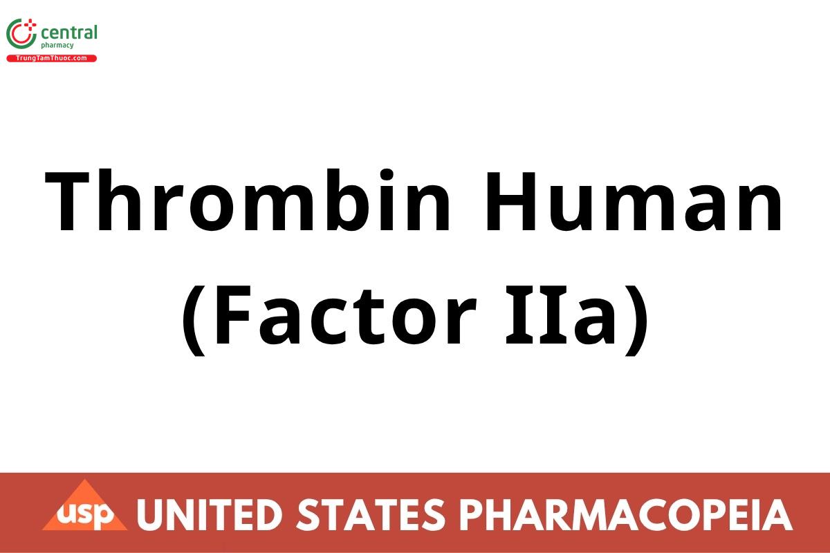 Thrombin Human (Factor IIa)
