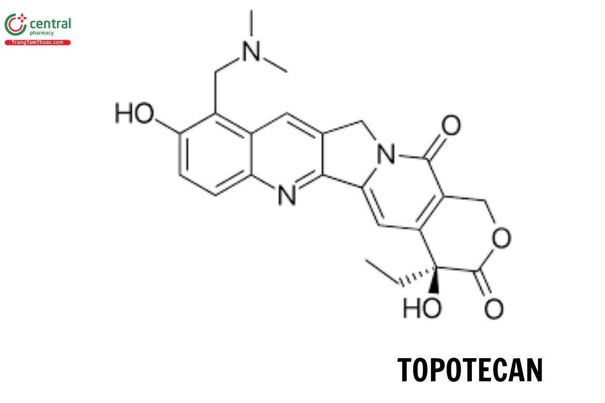 Topotecan 