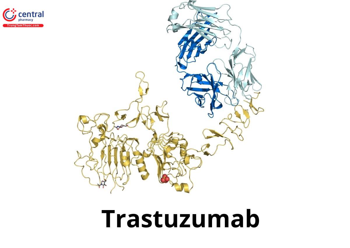 Trastuzumab