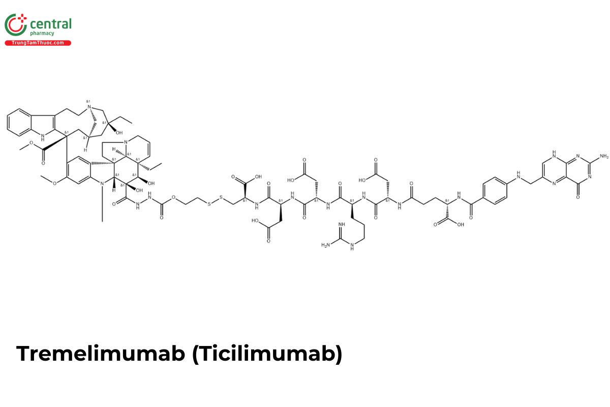 Tremelimumab (Ticilimumab)