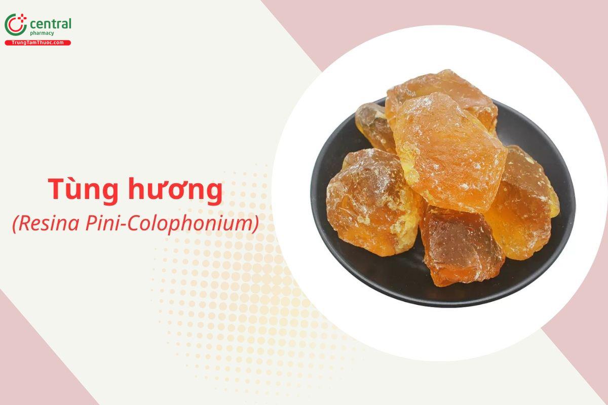 Tùng Hương (Tùng Giao, Tùng Chi - Resina Pini-Colophonium)