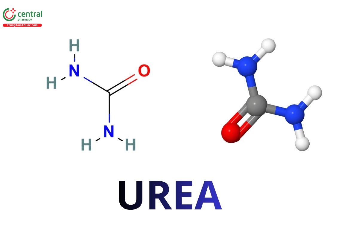 Urea