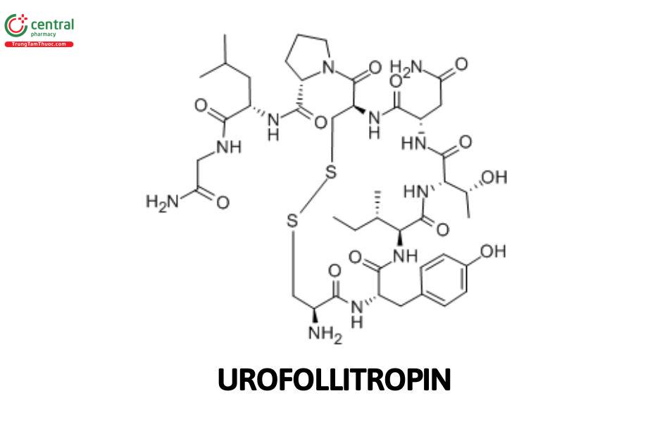 Urofollitropin