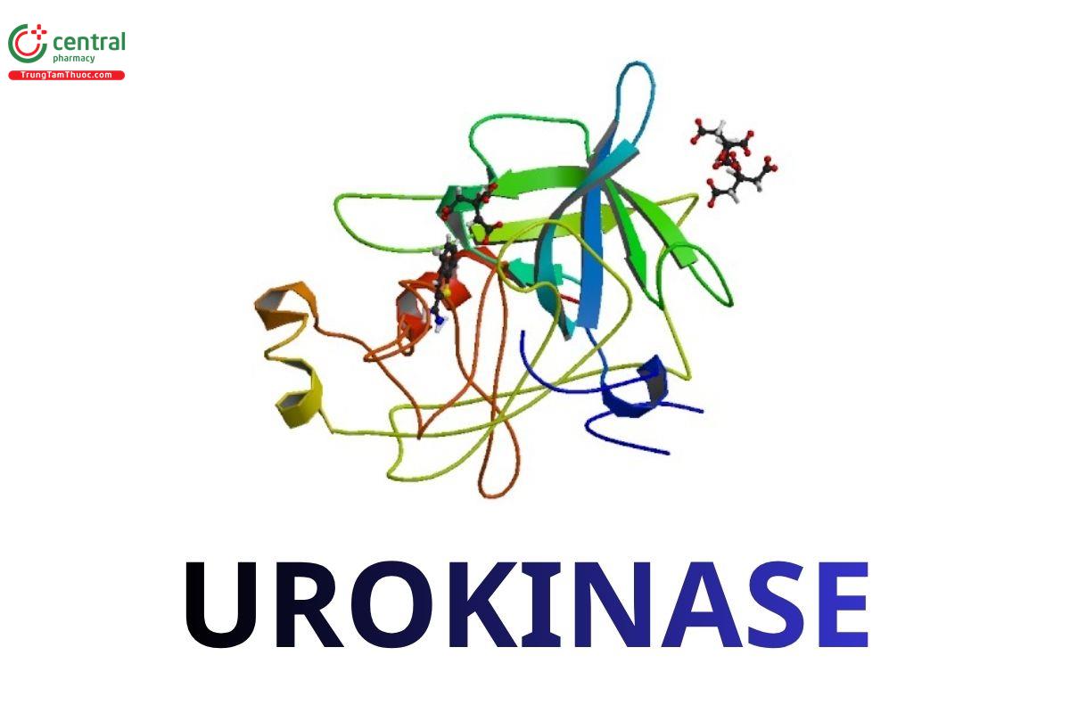 Urokinase