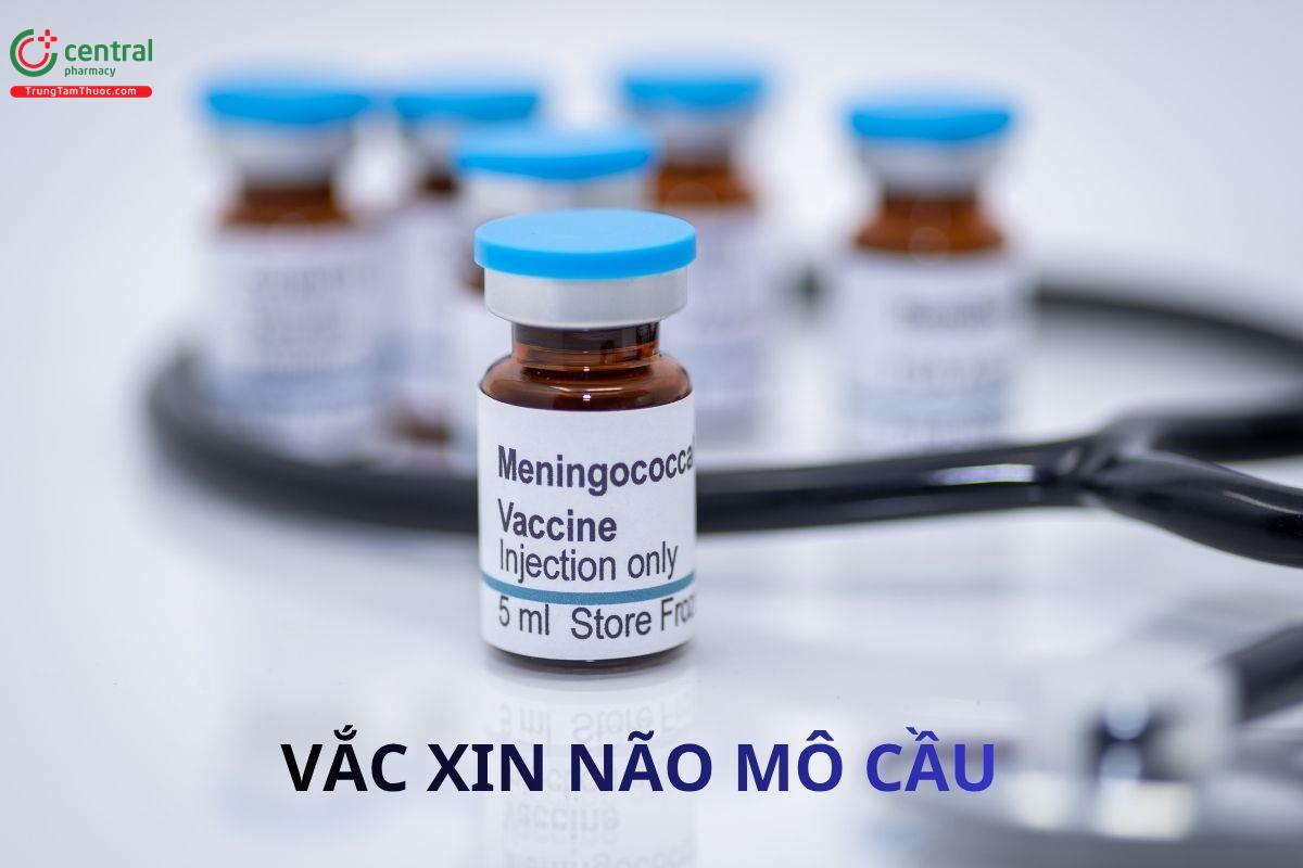 Vắc xin não mô cầu