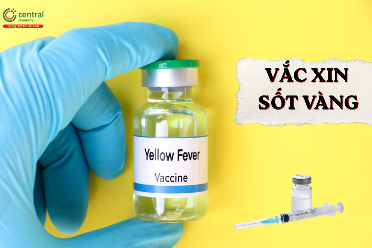 Vắc xin sốt vàng