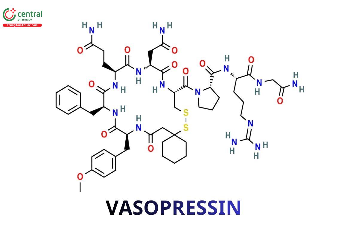 Các Vasopressin