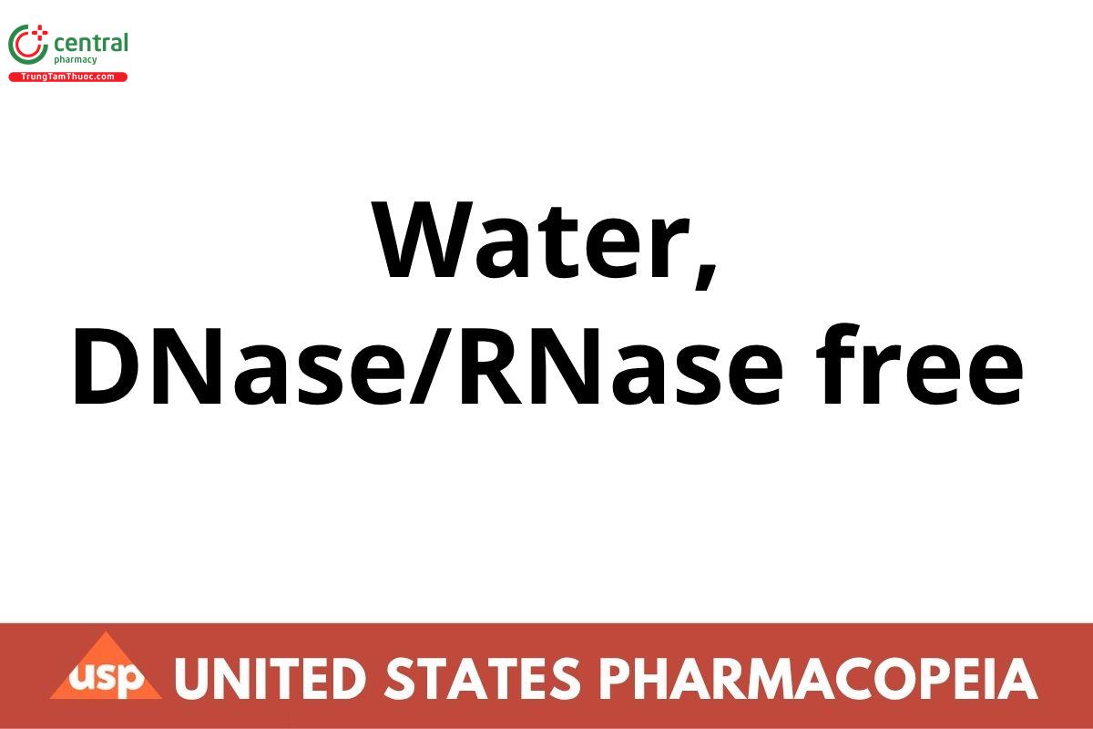 Water, DNase/RNase free