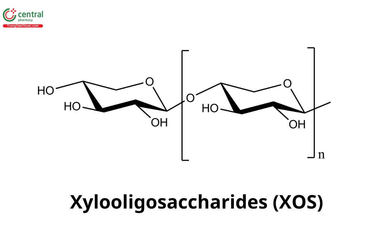 XOS (Xylo-Oligosaccharide)