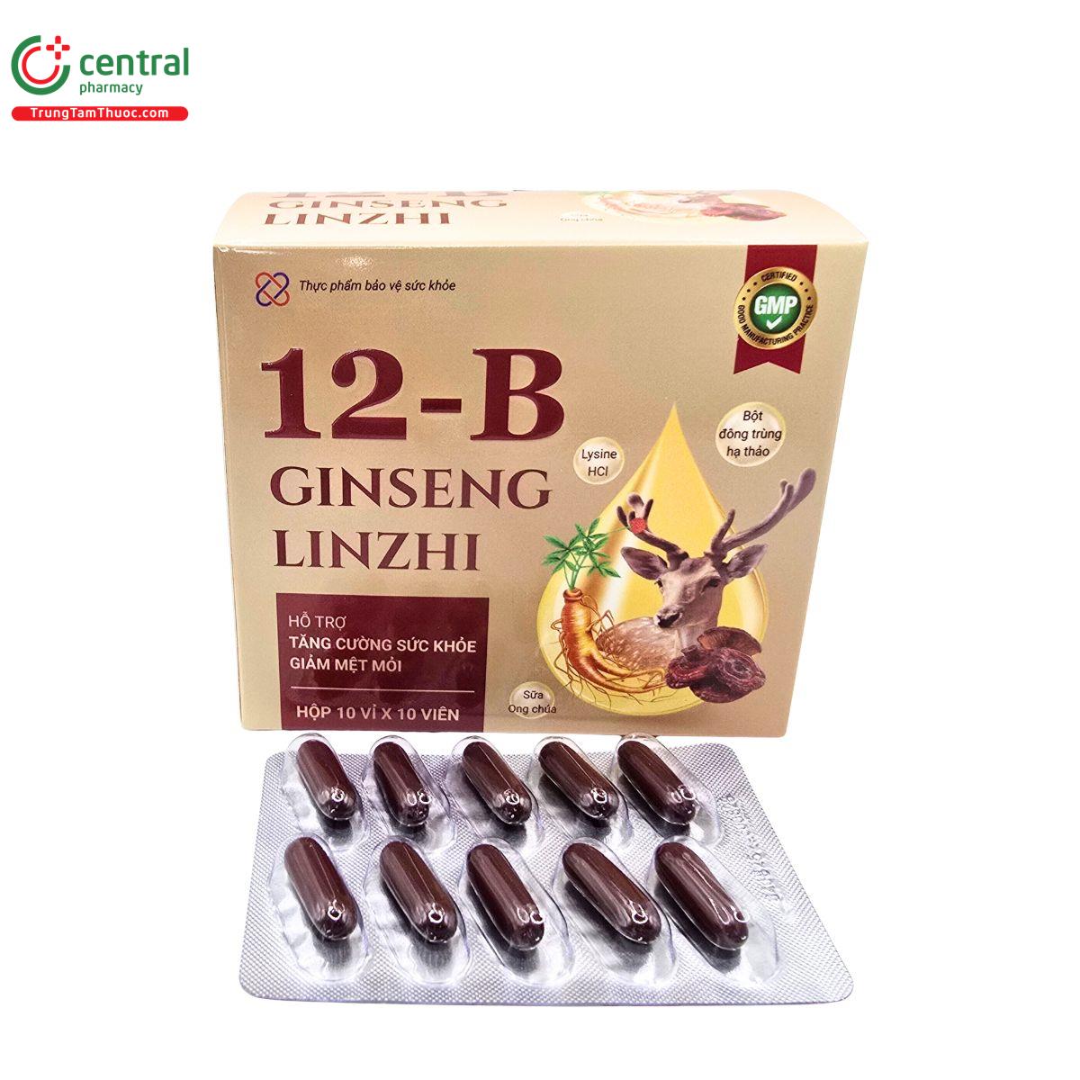 12b ginseng linhzhi 1 V8246 12b ginseng linhzhi 1 V8246