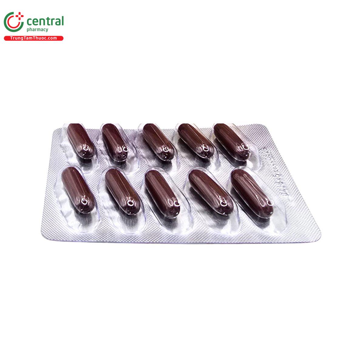 12b ginseng linhzhi 5 D1083 12b ginseng linhzhi 5 D1083