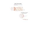 acid folic 5mg ft pharma 4 M5411 130x130px