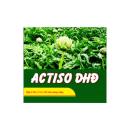 actiso dhd 2 H3217 130x130px