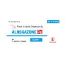 alaskazone 2g 1 P6102 130x130px