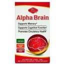 alpha brain 6 P6413 130x130px
