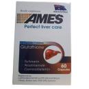 ames perfect liver care V8270 130x130px