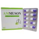 ammuson C0886 130x130px