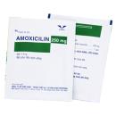 amoxicilin 250mg bidiphar 2 H3153