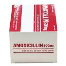 amoxicillin 500 mg mkp 5 M4246 130x130px