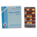amoxicillin500mgdomesco ttt6 O5515 130x130px
