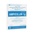 ampicillin 1g mekophar 1 F2608 130x130