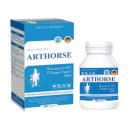 arthorse 1 P6262 130x130px
