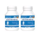 arthorse 2 V8818 130x130px
