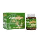 astakoton 2000 1 D1363 130x130px