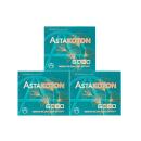 astakoton 6000 5 Q6886 130x130px