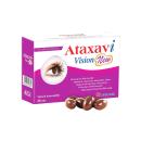 ataxavi vision new 1 P6765 130x130
