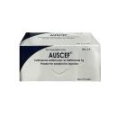 auscef 1g 3 J3787 130x130px