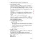 bearuso 400mg 5 N5171 130x130px