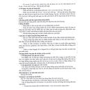 betofer 6 I3712 130x130px