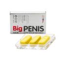 big penis 5 L4221 130x130px