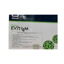 bioline ev71 igm 3 C0888 130x130px