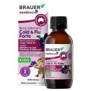 black elderberry cold flu forte 4 L4056 130x130px