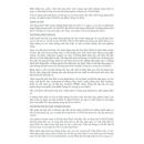 bosgam 100mg 6 H3374 130x130px