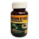 brain eyes 06 F2340 130x130px