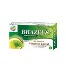 brazeus 2 K4008 130x130px